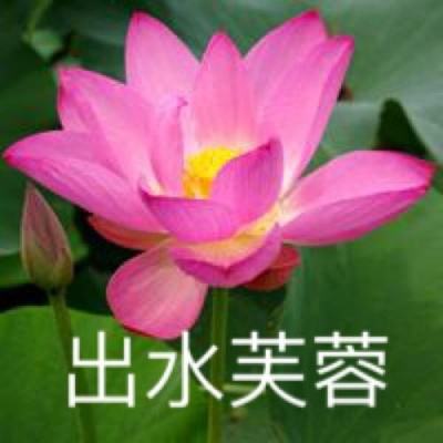 4399曙光破晓游戏下载